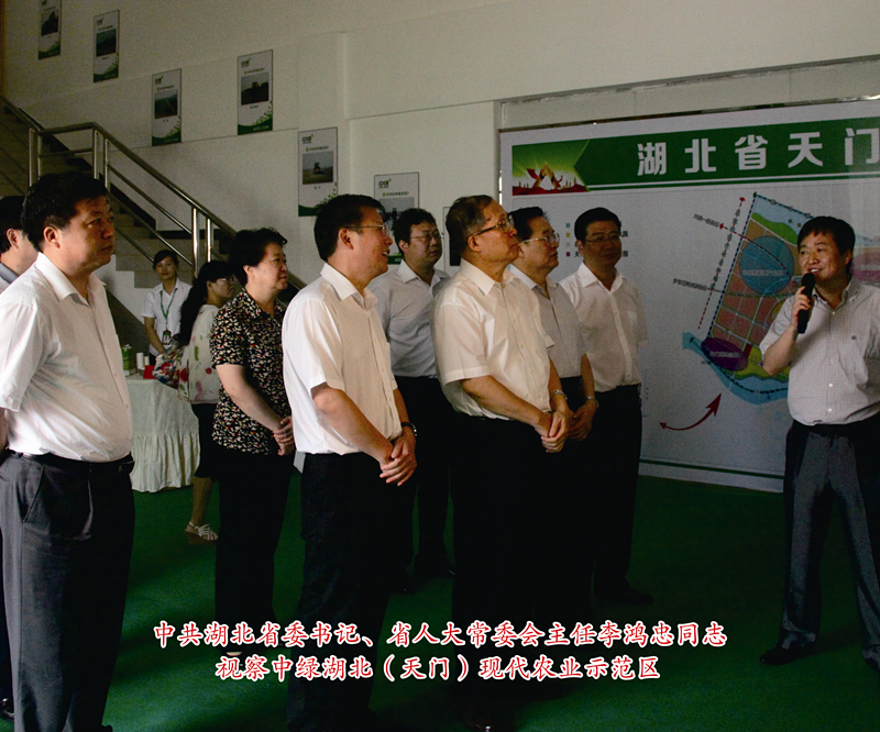 2、中共湖北省委書記、省人大常委會主任李鴻忠同志.jpg